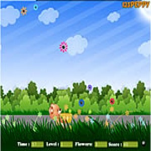 play Flower Catcher