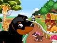 play Dogs In Zoo