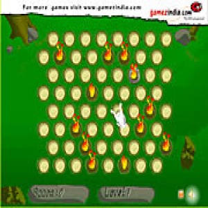 play Bunny Trap