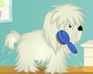 play Cutie Pet Care