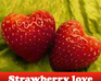 play Strawberry Love
