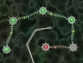 play Tentacle Wars 2