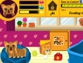 play Dog Breed Contest