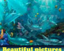 play Beautiful Pictures