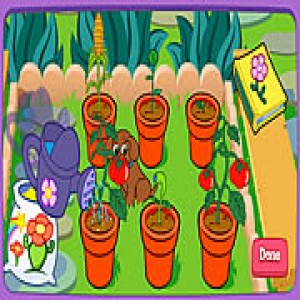 play Dora'S Magical Garden