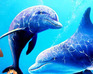 play Under Water Fishes