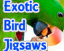 play Exotic Bird Jigsaw