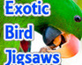 Exotic Bird Jigsaw