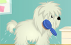 play Cutie Pet Care