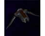 play Replicator