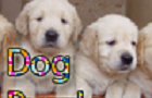 play Dog Puzzle