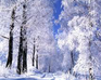 play Frosty Morning 5 Differences