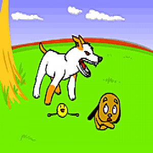 play Fetch
