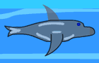play Feed The Dolphin
