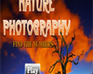 play Nature Photography -Find The Numbers