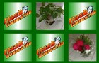 play Flash Pairs