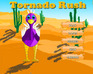 play Tornado Rush