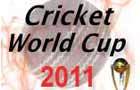 play Cricket Worldcup 2011