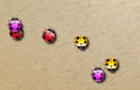 play Colourful Bugs
