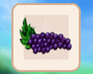 play Picture Memory