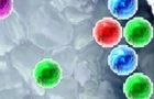 play Yeti Bubbles