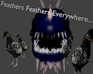 play Feathers Feathers Everywhere...