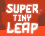 play Super Tiny Leap