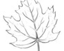 play Christmas Quiz