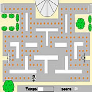 play Basketball Collect