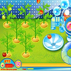play Sue Tomato Factory