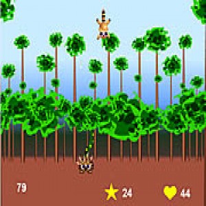 play Super Racoon