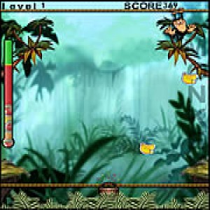 play Monkey Fruits