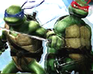 play Ninja Turtle