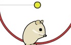 play .Hamster.