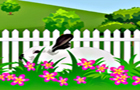 play Hidden Rabbit
