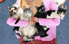 play Stack The Cats