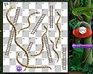 Snakes & Ladders