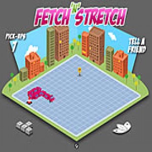 play Fetch 'N Stretch