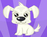 play Pretty Dog Contest