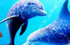 play Under Water Fishes