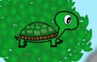 play Turtle Crysis