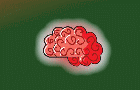 play Eat The Brains