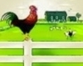 play Rescue Your Chickens