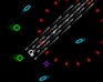 play Battle Frame 2