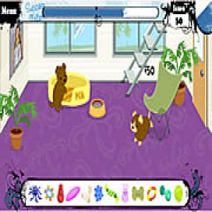 play Pet Academy