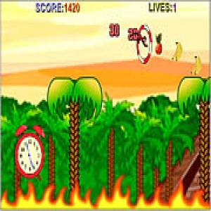 play Monkey Dude