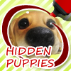 play Hidden Puppies