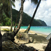 play Jigsaw: Tropics