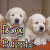 play Dog Puzzle