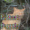play Kitten Puzzle